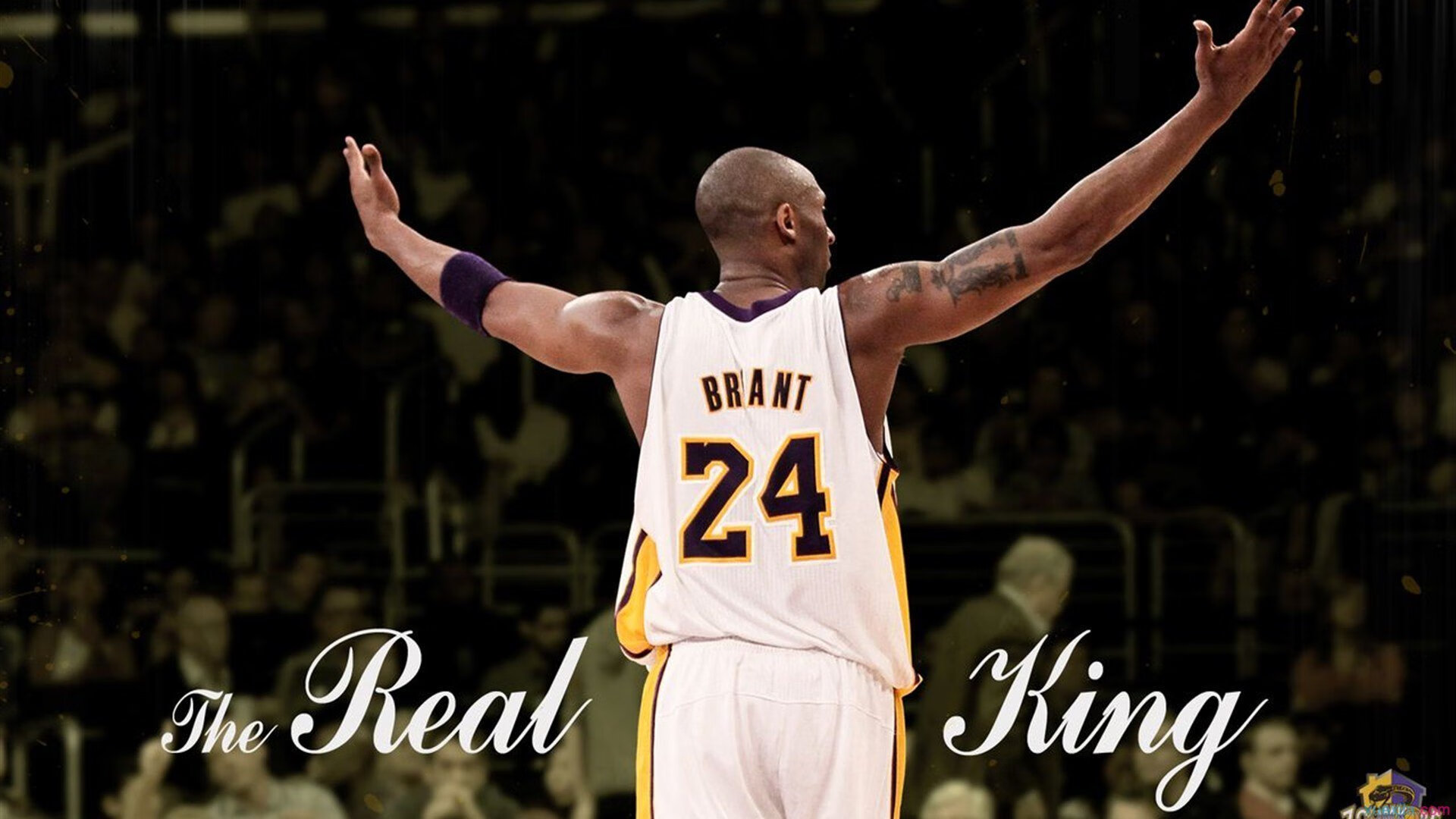 体育心理成胜负关键,顶尖运动员如何用大脑赢得比赛?