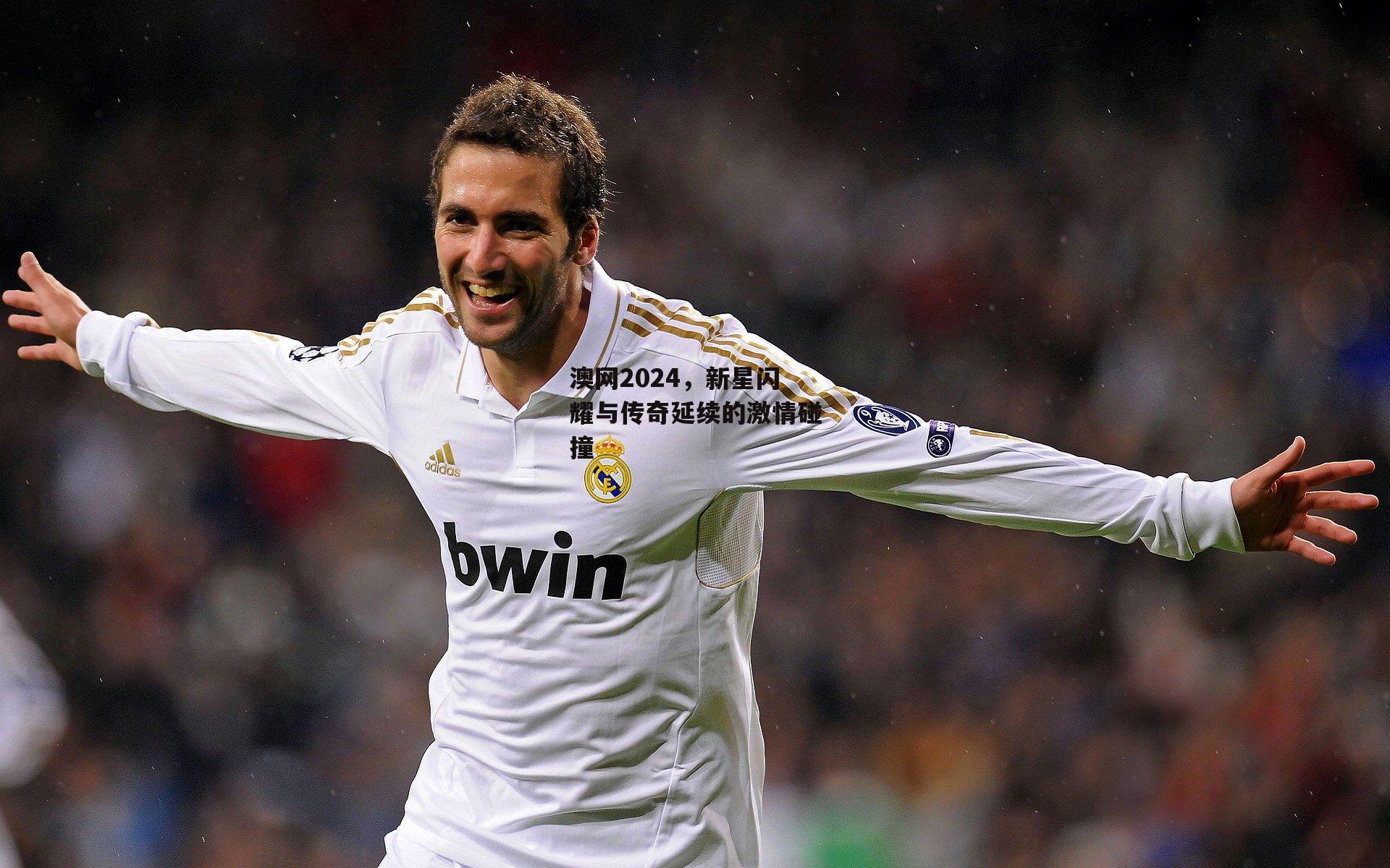 澳网2024,新星闪耀与传奇延续的激情碰撞