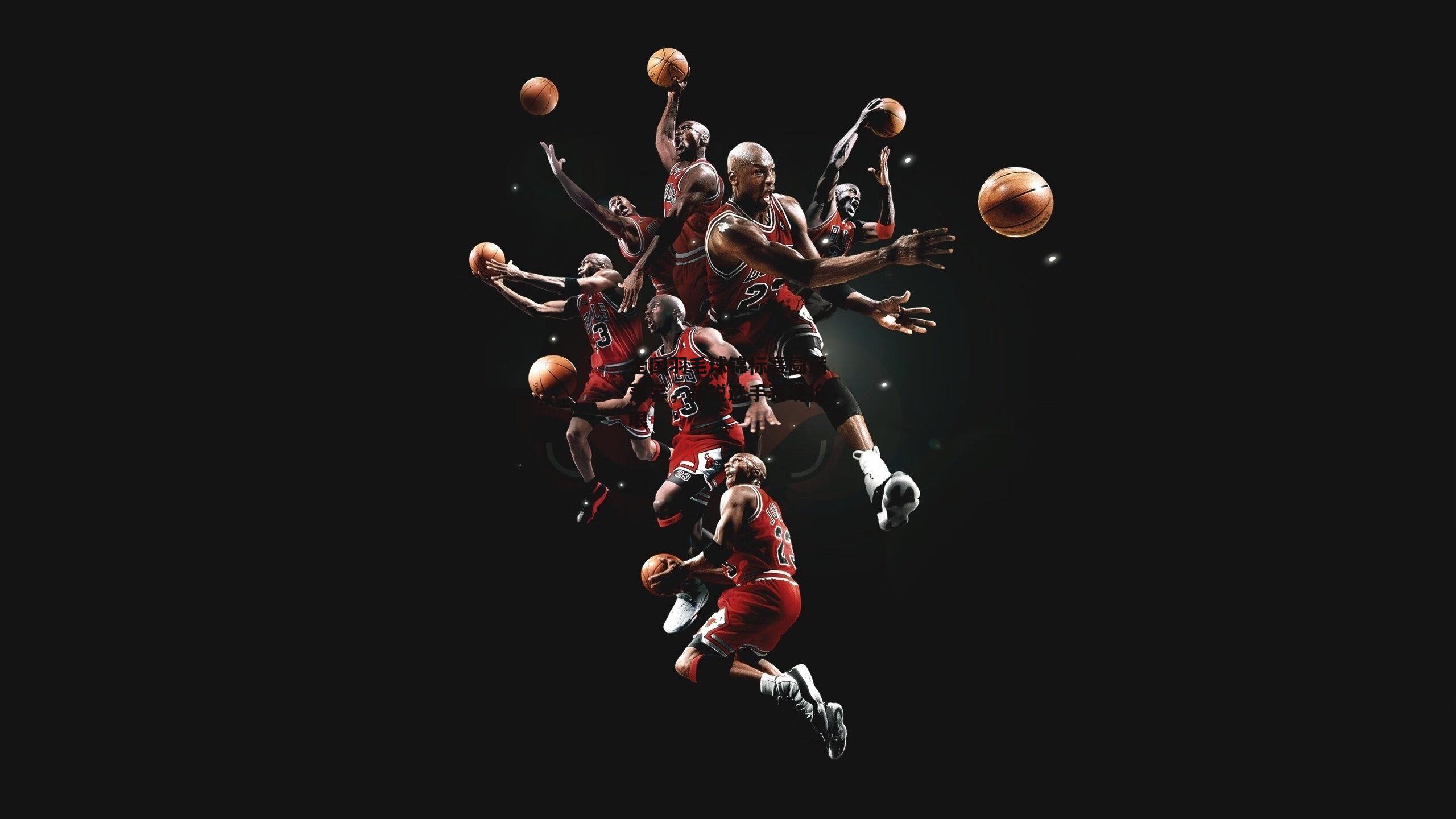 半岛体育APP-全国羽毛球锦标赛圆满落幕，新锐选手表现抢眼